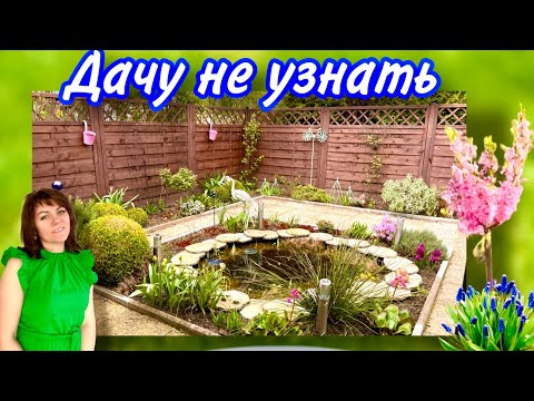 Видео: Всего Неделя и Дачу не Узнать / Мои первые Всходы