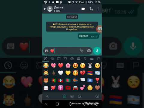 Видео: ССОРА С ЛП😞😔