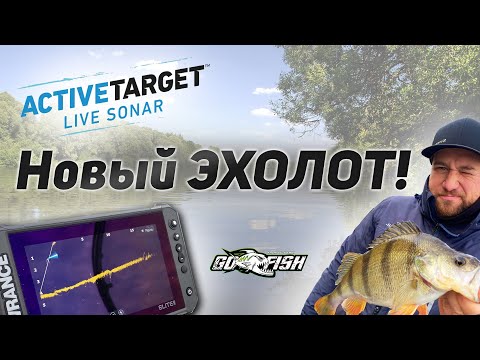 Видео: МУЛЬТИКИ В ЭХОЛОТЕ. Active Target Знакомимся с новой игрушкой.