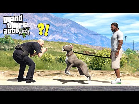 Видео: МОЙ ПИТБУЛЬ НЕНАВИДИТ ПОЛИЦИЮ!! - GTA 5 Реальная Жизнь (Моды ГТА 5)
