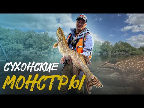 Видео: СУХОНСКИЕ МОНСТРЫ. Новый рекорд по щуке. Ловим на крупные приманки.