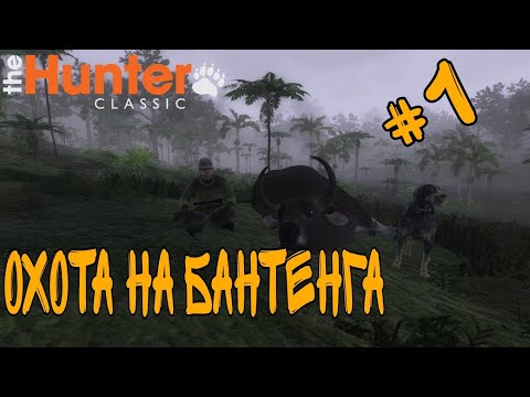 Видео: THE HUNTER CLASSIC!!! ОХОТА НА БАНТЕНГА!!!