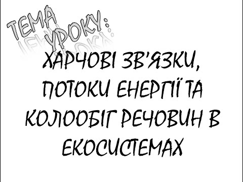 Видео: ХАРЧОВІ ЗВ'ЯЗКИ, ПОТОКИ ЕНЕРГІЇ ТА КОЛООБІГ РЕЧОВИН В ЕКОСИСТЕМАХ