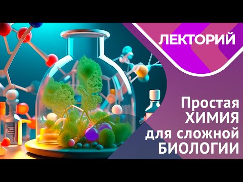 Видео: Простая химия для сложной биологии