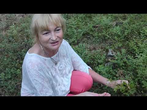 Видео: Карелия.День второй.Сплав по реке Шуя.