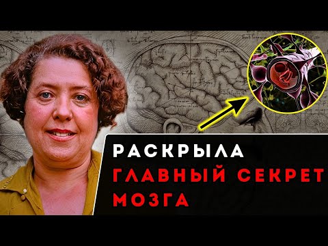 Видео: ЛИНА ШТЕРН: Открыла «ЩИТ» Человеческого Мозга