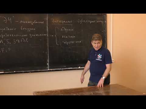 Видео: Парфёнов К. В. - Введение в физику элементарных частиц - 1. Элементарные частицы