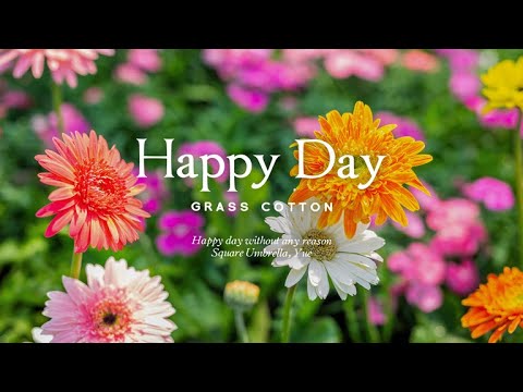 Видео: Сегодня хороший день без причины l GRASS COTTON+
