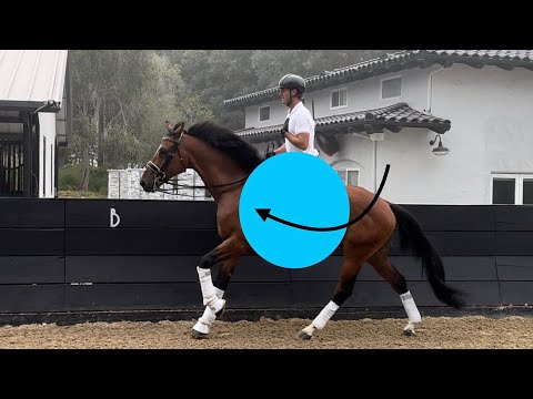 Видео: Как СИДЕТЬ и ДВИГАТЬСЯ с лошадью