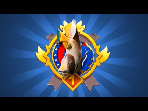 Видео: Fishing clash "Літайте,як метелик" + "Головний квест" продовження , клан "ДОМИНИАНА" 13.09.25.