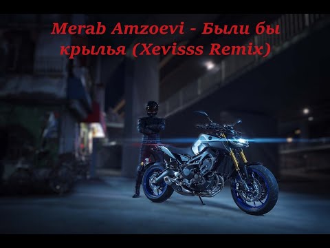 Видео: Merab Amzoevi - Были бы крылья (Xevisss Remix)