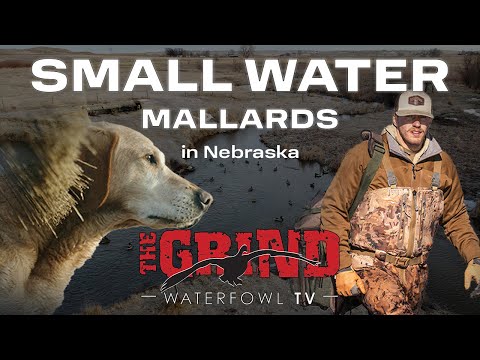 Видео: Маленькие водяные кряквы в Небраске, часть 2 | The Grind S13:E9