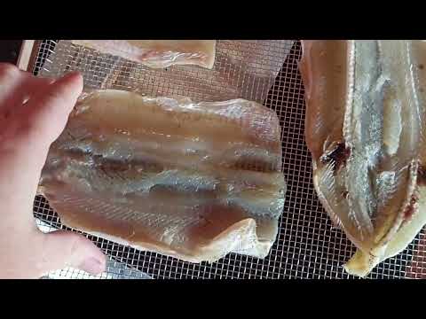 Видео: Сушка щуки, минтая и камбалы в дегидраторе LIBHOF -10, рецепт. #дегидратор,#приготовлениерыбы.