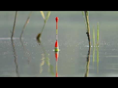 Видео: Рыбалка на поплавок в траве