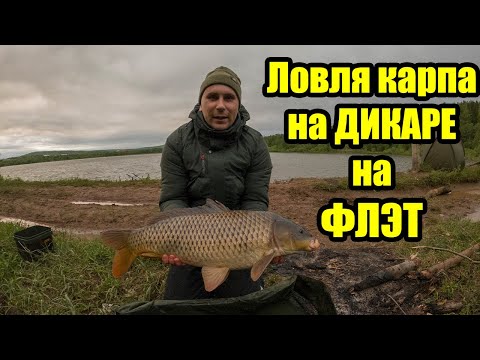 Видео: Рыбалка на карпа на дикаре Ловля карпа на ФЛЭТ фидер дикий карась