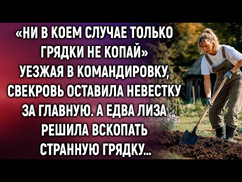 Видео: Уезжая в командировку, свекровь оставила невестку за главную. А едва Лиза решила вскопать грядку…