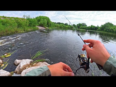 Видео: Рыбалка на Ультралайт в Июне. Разная рыба на ПЕРЕКАТАХ. Мормышинг. Микровертушка