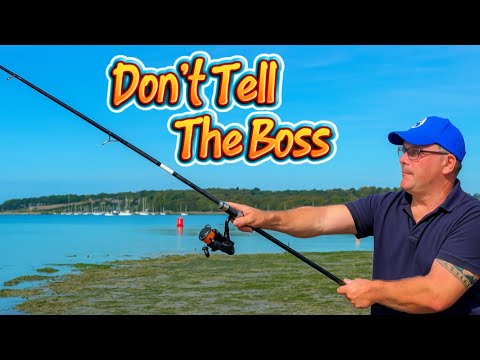 Видео: Час обеденного перерыва на реке Медина 🎣