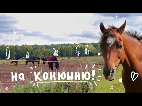 Видео: Впервые оказалась на Конюшне! 😍