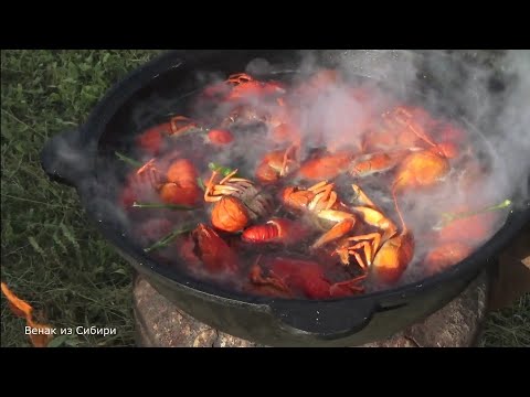 Видео: Открытие охоты на Алтае 2024 ( часть 1).