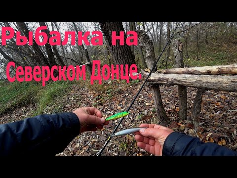 Видео: Рыбалка на Северском Донце.И немного про мои снасти на щуку.