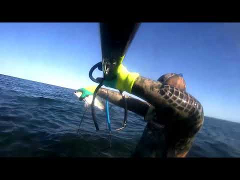 Видео: Подводная охота на кефаль  Октябрь 2023