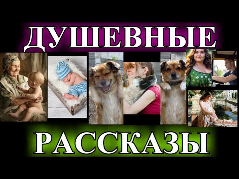 Видео: ДУШЕВНЫЕ  РАССКАЗЫ❤️УЧАСТКОВЫЙ РЫБОВ❤️СКУПЕРДЯИ❤️ПРОДАЛА❤️ТАНЯ В КОРОБКЕ❤️РОДНОЙ ДОМ @TEFI РАССКАЗЫ