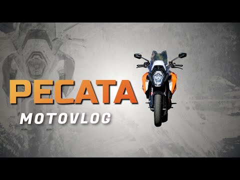 Видео: Тримата Мускетари в Румъния