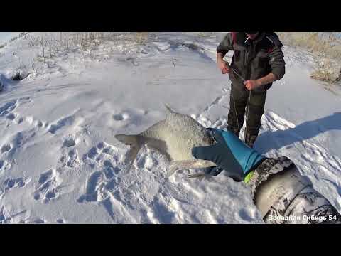 Видео: Разорвали хапугу но рыбу достали. Наши ямы не подвели.