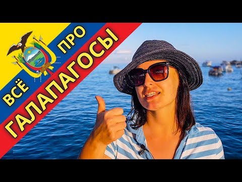 Видео: Галапагосы. Интересные факты о Галапагосских островах