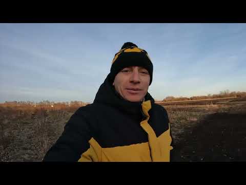 Видео: Скільки малини зібрали в 2024 році? Планую в січні садити малину...