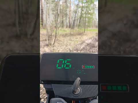 Видео: Электротрицикл перевозка груза 500 кг