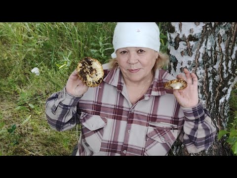 Видео: Наконец - то в лес 🙋// собрала много  ГРУЗДЕЙ // лес нас порадовал 👍//