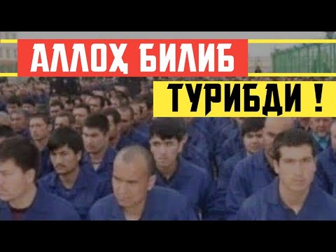 Видео: Аллоҳ у золимларга арқонни узун ташлаб қўйибди | Шайх Абдували қори раҳимаҳуллоҳ | Alloh ularga