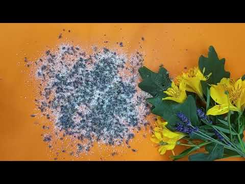 Видео: Установи себе ЗАЩИТУ за 5 минут - просто смотри 🙏 ЧИСТКАЧИСТИМ АУРУ ✨СНИМАЕМ ПОРЧУ, СГЛАЗ, ПРОКЛЯТИЕ