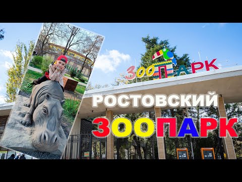 Видео: ОГРОМНЫЙ РОСТОВСКИЙ ЗООПАРК!