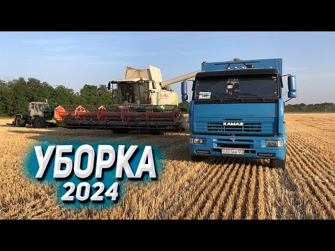 Видео: КАМАЗ на уборке 2024