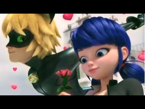 Видео: Леди баг и Супер кот/ Во дворе ходит слух