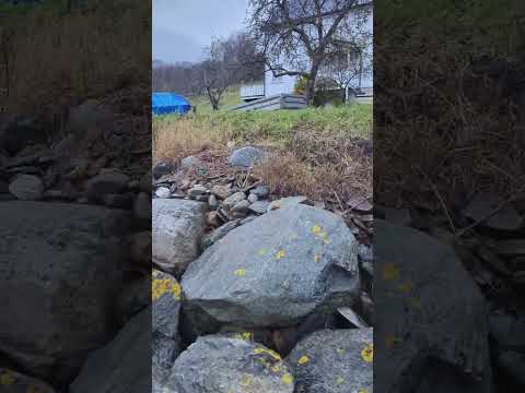 Видео: 28 октября 2025 г.