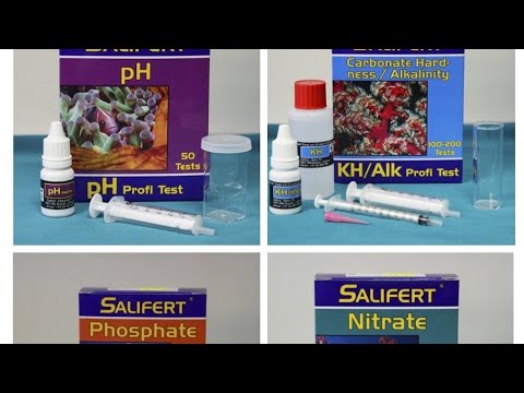 Видео: Морской аквариум без тестов