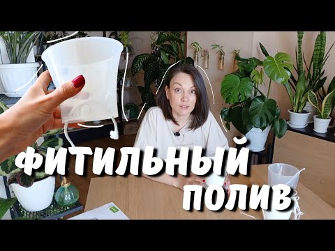Видео: Фитильный полив: просто о сложном. Рассказываю очень подробно!