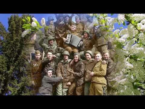 Видео: Белые слезы черемух