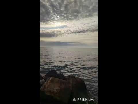 Видео: Прямая трансляция Lazarevskoe_paradise Лазаревское 5ноября