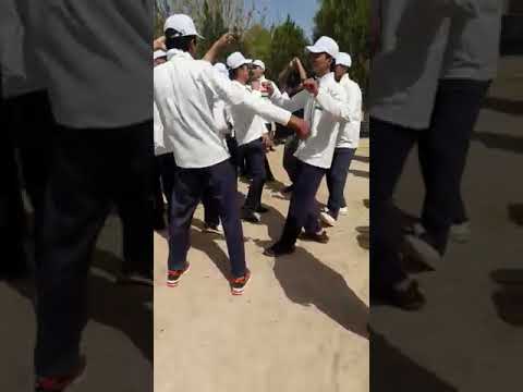 Видео: шер бачай Айвоч