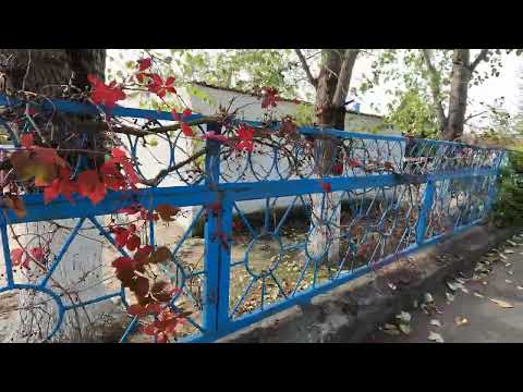 Видео: Темрюк 1 ноября 2023 часть1