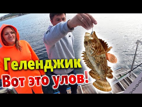Видео: ВОТ ЭТО МЫ ПОЙМАЛИ?! РЫБАЛКА НА ЯХТЕ В ГЕЛЕНДЖИКЕ! ПАРУСНАЯ РЕГАТА - ПОЛНЫЙ ВОСТОРГ!