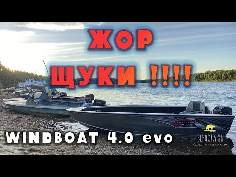 Видео: ЩУКА с каждой проводки !! Я в ШОКЕ !! Клёвое место !! Windboat 4.0 evo!