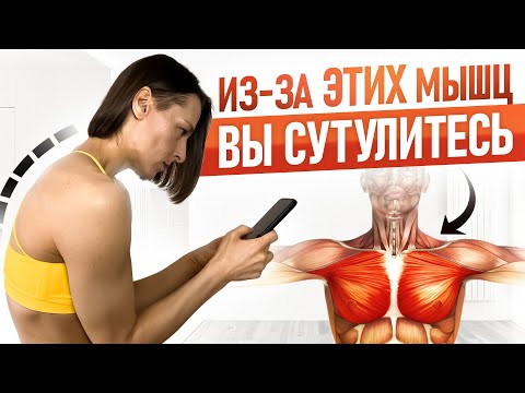 Видео: ЭТИ мышцы зажаты у 80% людей | ПРОСТЫЕ упражнения, чтобы ЭТО исправить