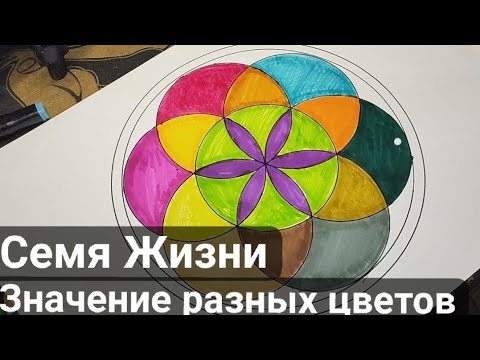 Видео: Рисуем Семя Жизни. Рассказываю о влиянии разных цветов в Сакральной геометрии.