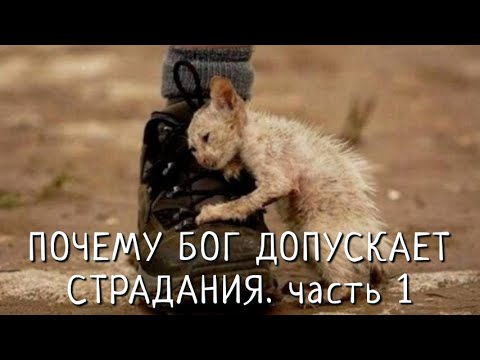 Видео: ПОЧЕМУ "БОГ ДОПУСКАЕТ СТРАДАНИЯ" ЧАСТЬ 1 от 6.01.2025